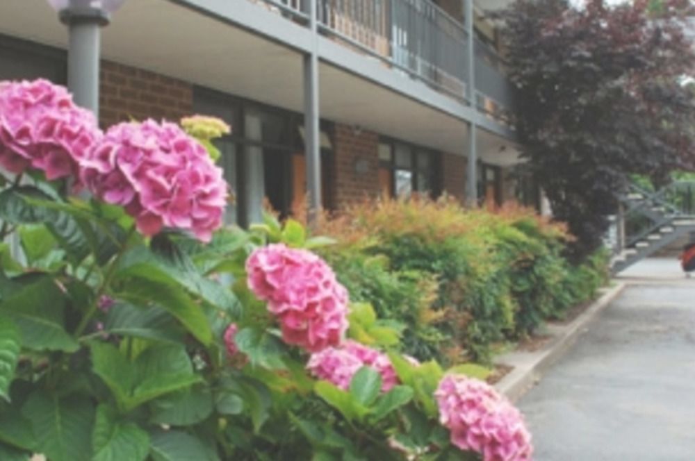 Red Cedars Motel Canberra Ngoại thất bức ảnh